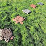 قالب سنگ مصنوعی لاک پشت