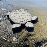 قالب سنگ مصنوعی لاک پشت